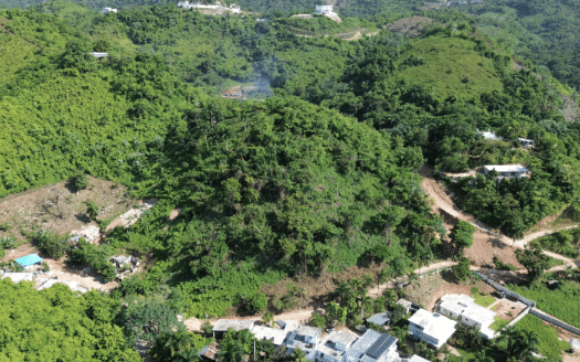 Prime land opportunity in La Ceiba